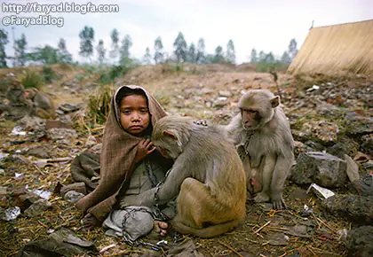 علم بهتر است یا ثروت هیچکدام یک جو انسانیت