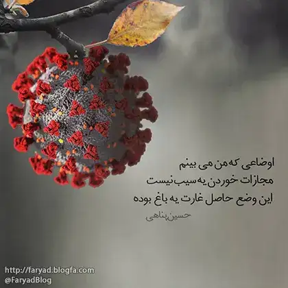 اوضاعی که من میبینم مجازات خوردن یک سیب نیست این وضع حاصل