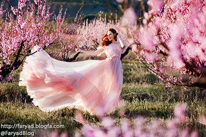 پیراهنت در باد تکان میخورد این تنها پرچمی ست که دوستش دارم