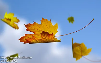 شکل مرگها در میان گونه گونه مرگ ها مرگ برگها مرگ شعله ها